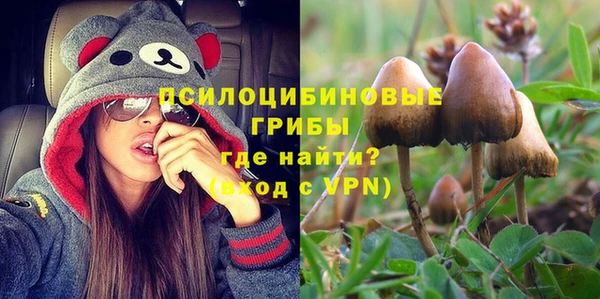 mdpv Верхний Тагил