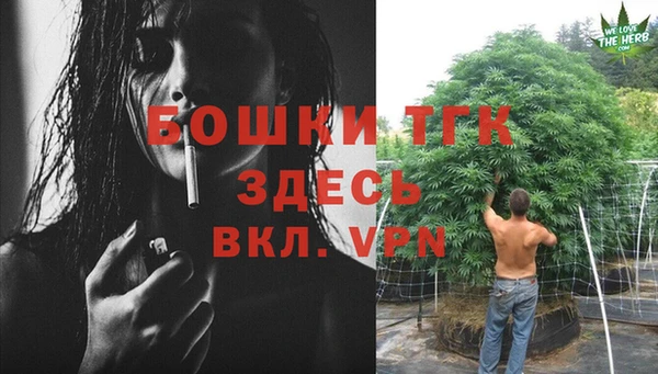 mdpv Верхний Тагил